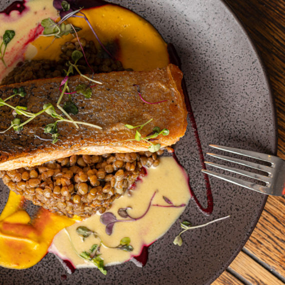 Pan Roasted Salmon over lentils with colorful sauce and parsnip puree